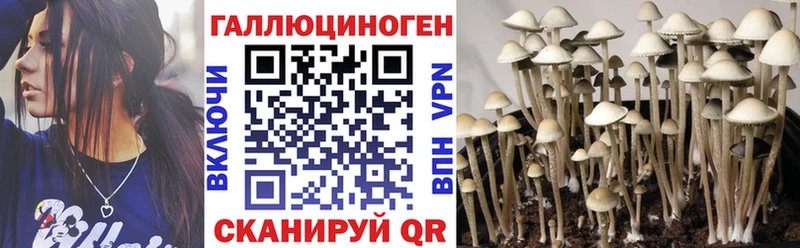 Купить где  Егорьевск  Галлюциногенные грибы Psilocybine cubensis 